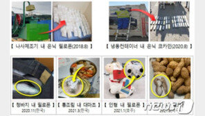 땅콩 반으로 갈라보니 정체불명 흰 가루…교묘해지는 마약 밀반입 수법