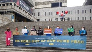 마지막 돌고래 화순이도 죽었다…“제주도, 구조요청 무시해”