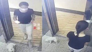 승강기서 폰만 본 中견주…반려견, 목줄 끼어 허공에 매달려