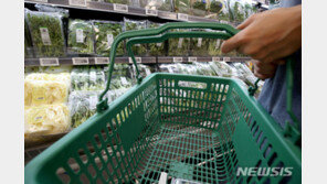 경기 회복에도 팍팍한 서민 삶…뛰는 물가에 양극화 악화