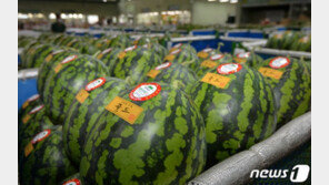 천장 뚫린 생산자물가…4개월 연속 ‘사상 최고’