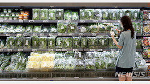 시금치 76%·수박 40.1%↑…장바구니 물가 하반기 더 오르나