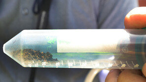 ‘붉은불개미 막아라’ 여수광양항만공사 방역 고심