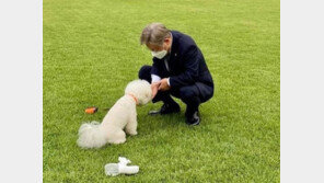 이재명 “개 식용 금지…반려동물 양육 전 교육 의무화” 공약