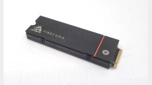 [리뷰] 시원한 고성능, 씨게이트 파이어쿠다 530 M.2 NVMe 히트싱크