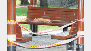 [고양이 눈]방해받지 않을 권리