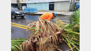 전국에 강풍과 폭우…실종되고 다치고 통제되고 ‘피해 곳곳’