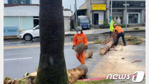 제주 전역 호우특보 확대…23일 오전부터 태풍 ‘오마이스’ 영향권