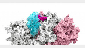 안철수 딸 안설희씨, 코로나 인체 침투 열쇠 찾았다