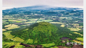 “오름은 환경자산” 땔감 얻었던 작은 화산체에서 힐링공간 변신