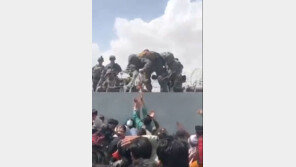 철조망 위로 미군에 건네진 아프간 아기, 아빠와 상봉