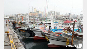 태풍 ‘오마이스’ 제주로 북상 중…최대 400㎜ 폭우 동반