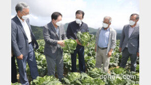 이성희 농협중앙회장, 고랭지 농작물 수급상황 점검