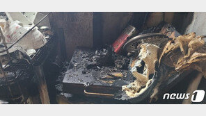 강아지가 전기레인지 점화 버튼 밟아…제주 옥탑방서 불