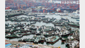 태풍 ‘오마이스’ 북상에 전국이 비상!![청계천 옆 사진관]