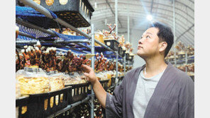 잘나가던 의사에서 한달 매출 2000만원 청년 농부로 