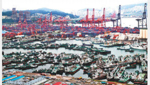 태풍 ‘오마이스’ 올해 첫 한반도 상륙… 부산항 대피한 선박들