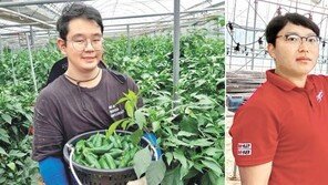 “커피-멕시코 고추 키워요”… 스마트팜 덕에 지구반대편 농작물도 OK 