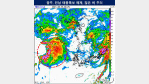 태풍 ‘오마이스’ 지나간 광주·전남…침수 등 15건 접수