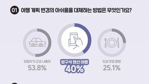 강력한 사회적 거리두기에 10명 중 4명 “랜선여행 즐긴다”
