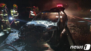 한밤중 튀어나온 노루 피하려다 경계석 들이받은 벤츠 전소