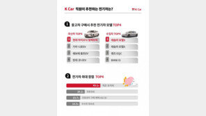 케이카, 아이오닉 일렉트릭·테슬라 모델3 추천