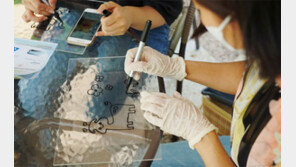 “햇빛으로 그림 찍어요”