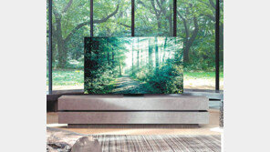 전세계 TV 판매 2대 중 1대는 ‘삼성-LG’ 