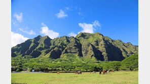 내년 출발 해외 항공권 1위 하와이…코로나 이후 ‘안전한 휴양지’ 선호