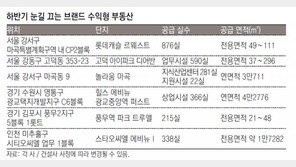 미래가치 높고 안정적 수익 창출… 수익형 부동산도 ‘브랜드 파워’
