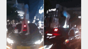 “내가 말한 사람들 사형” 택시 올라가 쾅쾅…만취 여성 입건