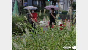 [날씨] 수도권·강원·제주 가을장마…전남·경남 무더위
