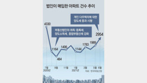 개인들, 법인 만들어 ‘공시가 1억 미만 아파트’ 투기성 거래 기승