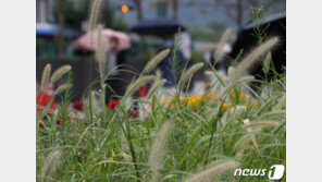 ‘가을장마’ 9월 초까지 지속…27~28일 호남 최대 150㎜ 폭우