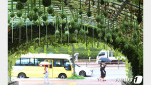 ‘내달 2일까지 가을장마’ 당분간 잦은 비…주말 호남 ‘150㎜ 폭우’