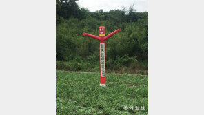 [고양이 눈]바람인형의 쓸모