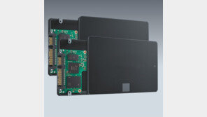 낸드 공략 나선 美… 글로벌 반도체 지각변동 