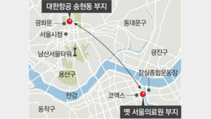 송현동 대한항공 땅, 옛 서울의료원 부지와 맞교환 