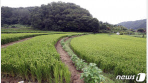 윤희숙, 오늘 기자회견…부친 땅 의혹 해명할 듯