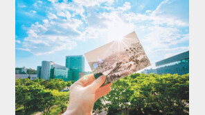 자기주도-창의-성실형 인재 찾아… SW특기자전형 교사추천서 폐지