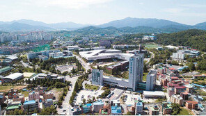 융합전공으로 실무역량 강화… 졸업 전 대기업 취업 확정