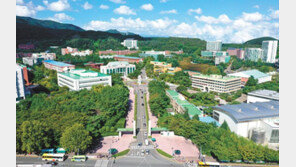 전국 첫 메타버스 기반 화상강의