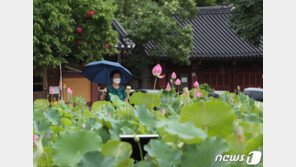 [날씨]내일 전국 곳곳 빗방울 계속…남부 시간당 30㎜ 강한 비