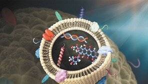 화이자 백신 핵심 ‘나노 전달체’ 신소재 개발 경쟁 ‘후끈’ 