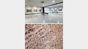 ‘제주 화가’ 한중옥, 서귀포에 ‘크레파스미술관’ 문 열어