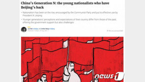 중국에서 ‘N-세대’ 뜬다, N-세대가 뭐길래…