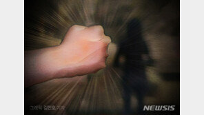 술자리 동석 거절한 여친 차량 파손한 50대 집행유예