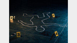 70대 어머니·40대 아들, 고양시 아파트 13층 추락사