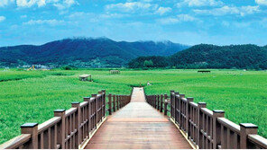 ‘생태계 보고’ 순천만 지키기 30년… 세계적인 생태도시로 인정받았다