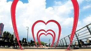 [고양이 눈]너에 대한 나의 마음